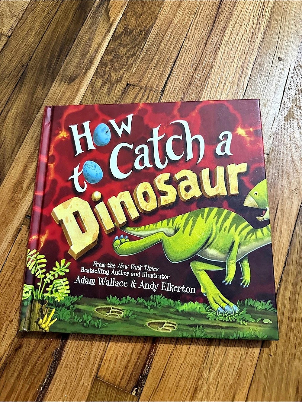 Sourcebooks How to Catch a Dinosaur Children's Dinosaur Book